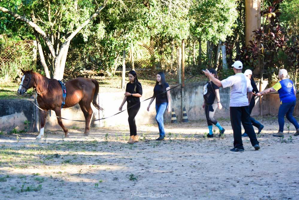 EQUOTERAPIA: TERAPIA ASSISTIDA POR EQUINOS